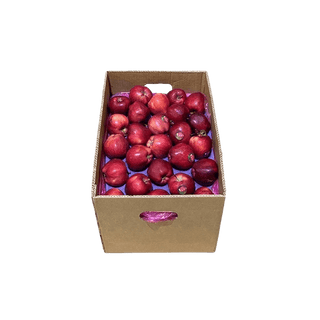 Apple Turkey - 18 kg