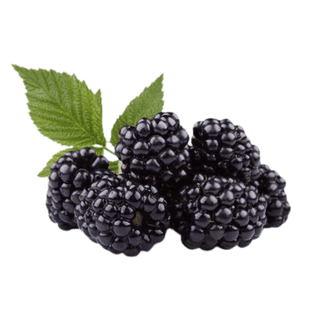 Blackberries Australia