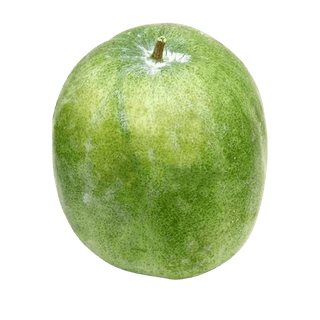 Ash Gourd