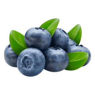 Blueberries - UAE