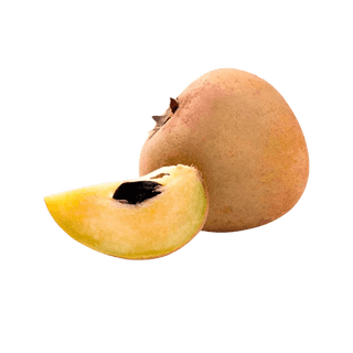 Chikoo (Sapota) - India