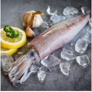 Big Squid - UAE
