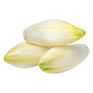 Endive