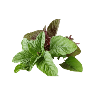 Amaranth Leaves