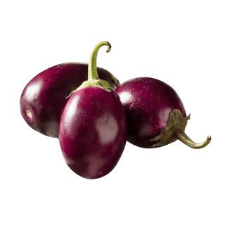 Eggplant (Brinjal) Baby