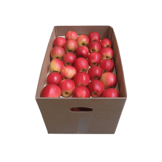 Apple Canada - 18 Kg