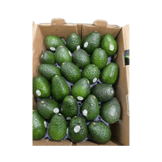 Avocado Tanjania - 4 kg