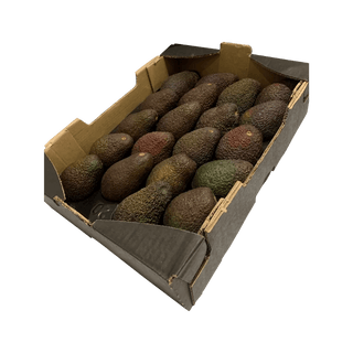 Avocado Uganada - 4 kg