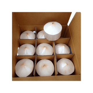 Coconut Vietnam -9 pcs (With Pipe)