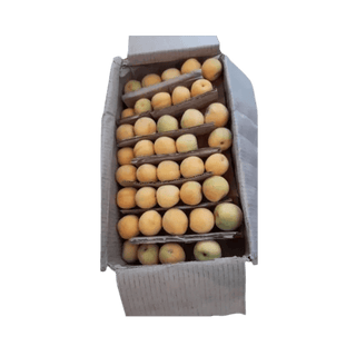 Apricot/Durakh Iran - 4 kg