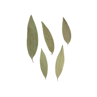 Bay Leaves