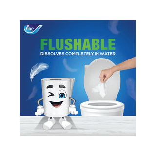 Toilet Rolls 2Ply 250 Sheets (Fine)