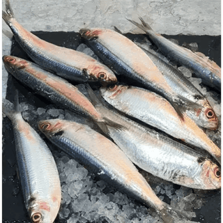 Big Sardines - UAE 500g
