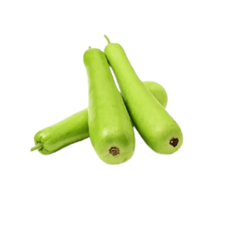 Bottle Gourd