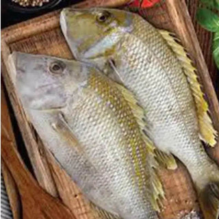 Big Sheri - UAE 500g