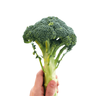 Broccoli