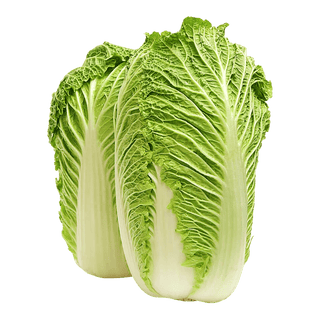 Cabbage Chinese