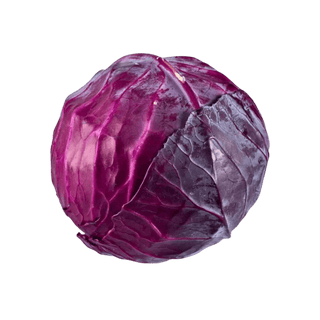 Cabbage Red