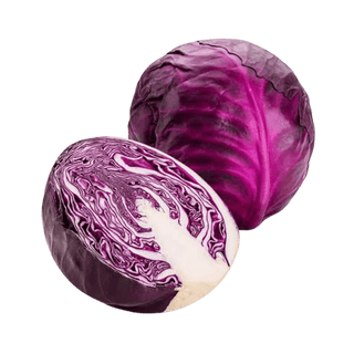 Cabbage Red