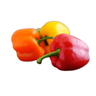 Capsicum Orange, Red, Yellow