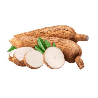 Cassava