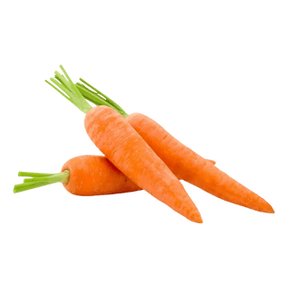 Carrot Long