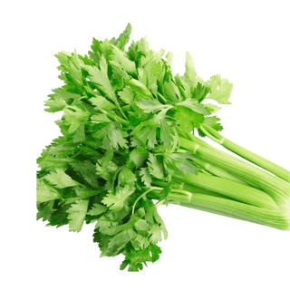 Celery