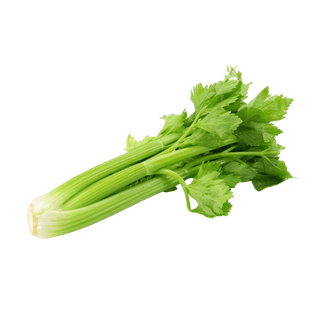 Celery