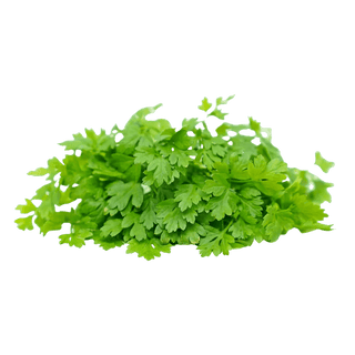 Chervil