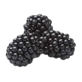 Blackberries Australia
