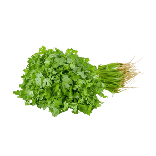 Coriander Leaves
