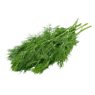 Dill Leaves