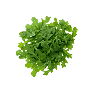 Arugula