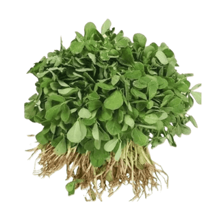 Fenugreek Leaves (Methi)