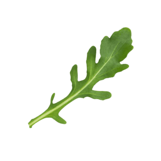 Arugula