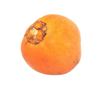 Coconut SriLanka
